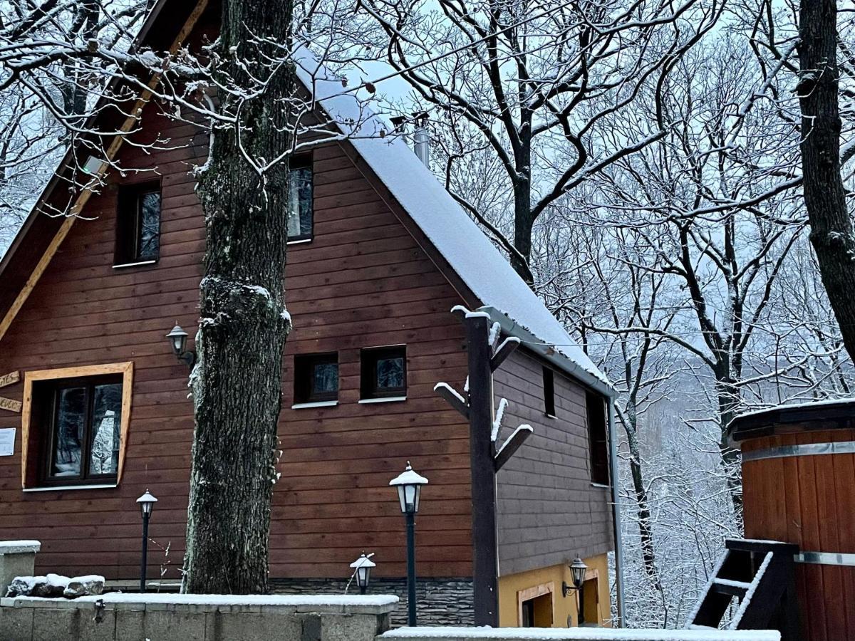Toelgyes Menedek Lägenhet Noszvaj Exteriör bild